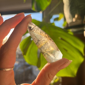 Dendritic Golden healer quartz freeform