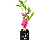 Lucky Bamboo Spiral Style with Silk Flowers and Ceramic Vase Live Plant Indoor Outdoor Garden