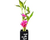 Lucky Bamboo Spiral Style with Silk Flowers and Large Black Ceramic Vase Live Plant Indoor Outdoor Garden