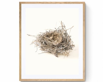 A Glimpse into Nature's Craftsmanship: The Beauty of a Bird Nest Printed on Bamboo