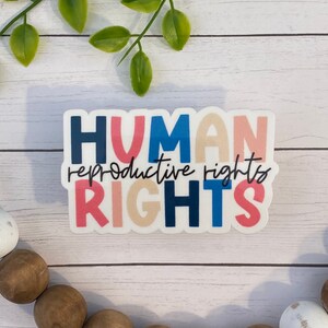 Reproductive Rights Sticker, Roe v Wade, Vinyl Sticker, Human Rights Sticker, Laptop Sticker, Phone Sticker, Tablet, Water Bottle Sticker