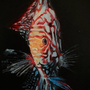 Fish Painting Animal Art Original Oil Painting On Canvas By Varnavskaya