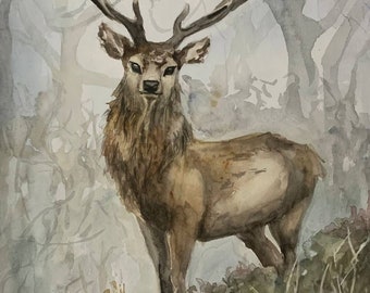 Deer Painting Forest Animal Art Watercolor Original Painting By Varnavskaya
