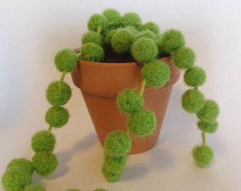 Needle Felted Succulent in Pot - String of Pearls