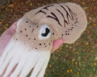 Felted Wool Cuttlefish