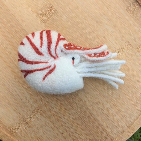 Wool Nautilus - Needle Felted Cephalopod Figurine