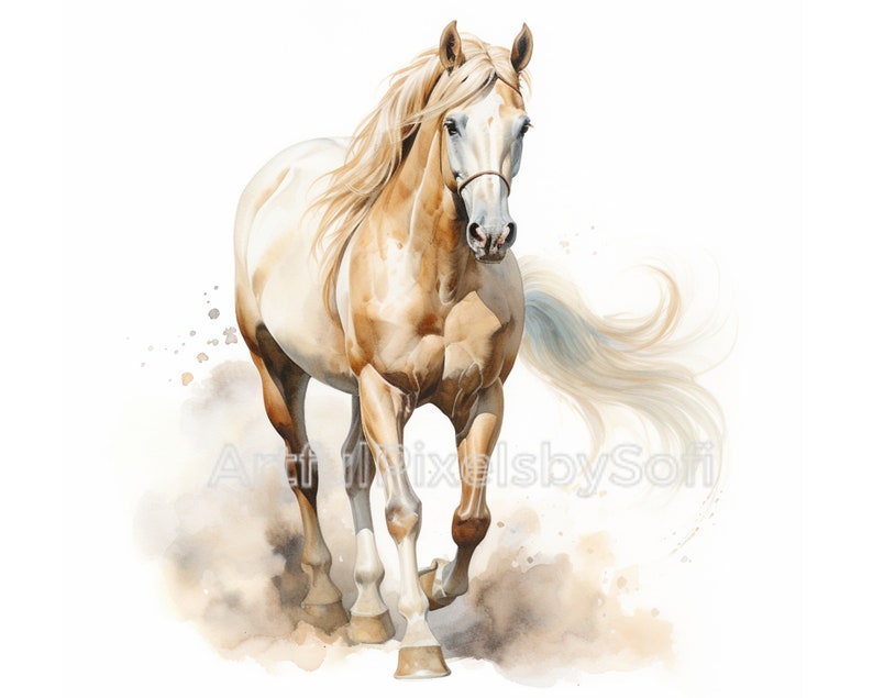 ARABIAN Horse Clipart, 12 Designs, 406 DPI, Printable,no Background ...
