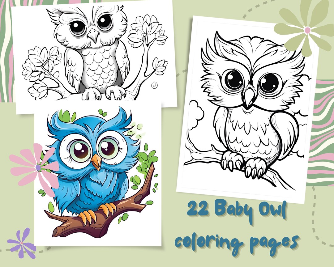 22 Pages Baby Owl Coloring Book Adults Kids Coloring Pages - Etsy