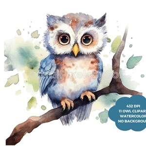 Hibou Clipart, 11 dessins Ultra haute résolution, 432 DPI, hibou PNG, imprimable, pas de fond, utilisation commerciale, libre de redevance, Digital Paper Craft