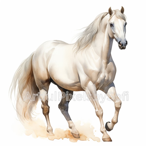 ARABIAN Horse Clipart,  12 Designs, 406 DPI, Printable,No Background, Commercial Use, Royalty Free. Print and create!!