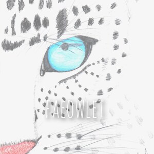 Wall Art Digitale Download Snow Leopard