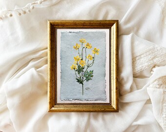 BUTTERCUP original painting miniature yellow flowers wild flower field flower botanical artwork housewarming unframed