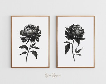 May include: Two framed art prints featuring black and white peony flower illustrations. Each print has a gold-colored frame. The floral artwork is a watercolor style, with detailed petals and leaves against a white background.