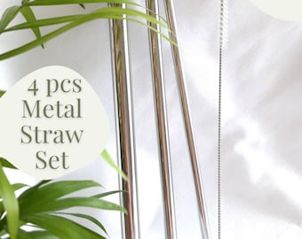 4 Pcs Metal Straw Set | Eco Friendly | Stainless Steel | Reusable | Drink | Straw