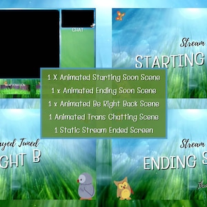 The Nature Garden Bundle | Nature Animated Twitch Stream Package - Just Chatting Scene, Starting Soon, BRB, Ending Soon, Stream Ended Screen