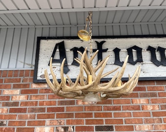 May include: A chandelier made from antlers with a brass chain and a light fixture. The chandelier is hanging from a ceiling in front of a sign that says "Antiques".