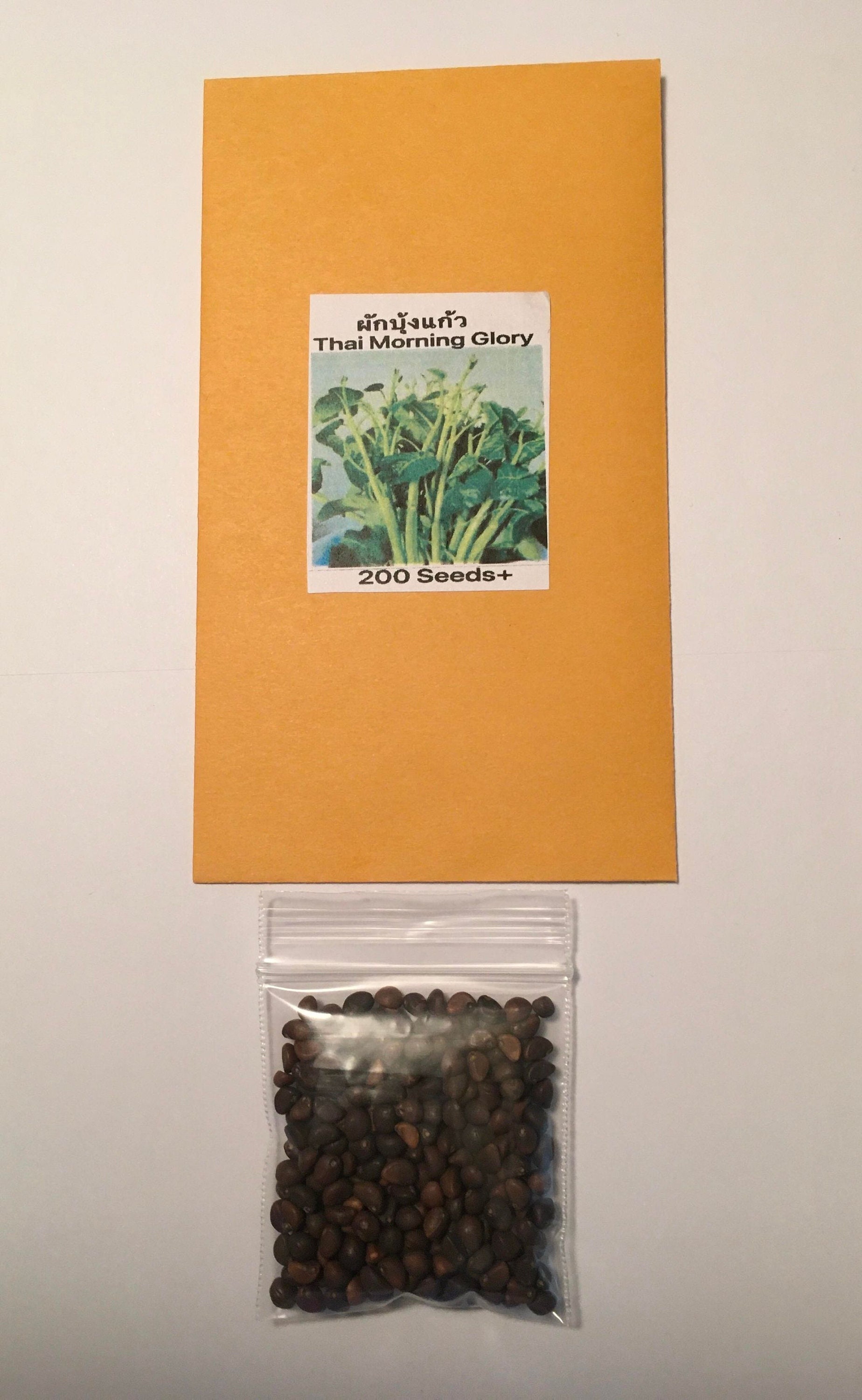 Semillas de gloria de la mañana tailandesa, espinaca de agua y enredadera  (más de 200 por paquete) - Etsy México, image size:1848x3000