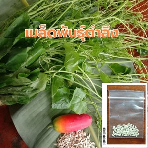 May include: A bunch of green leafy vines with a red and orange fruit and a bag of seeds. The text "Melons" is written in orange on a white background.