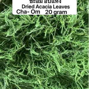 blume plant ZZ Plants