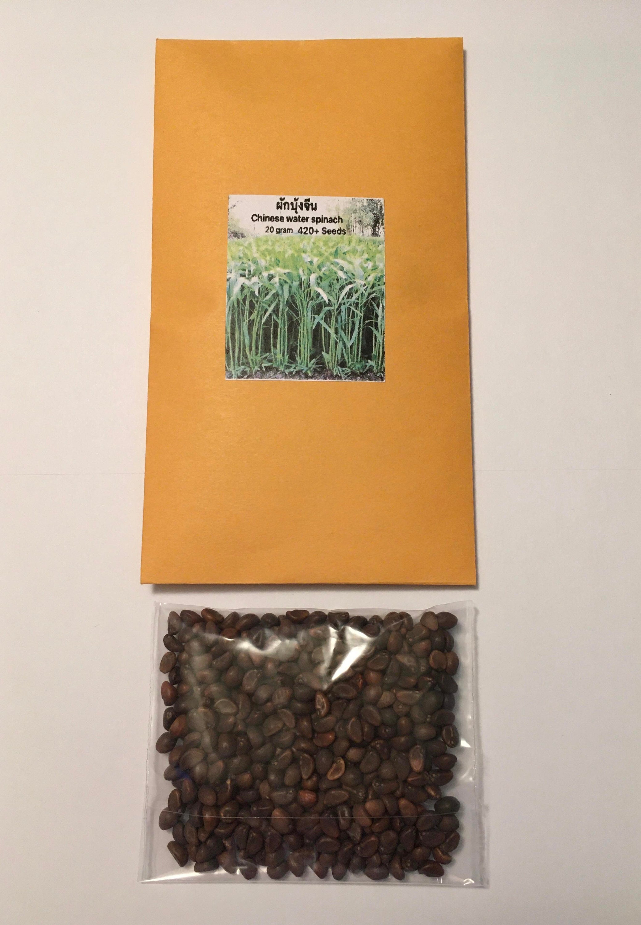 Semillas de espinaca de agua china (convolvulus) 420+ semillas por paquete  - Etsy México, image size:2079x3000