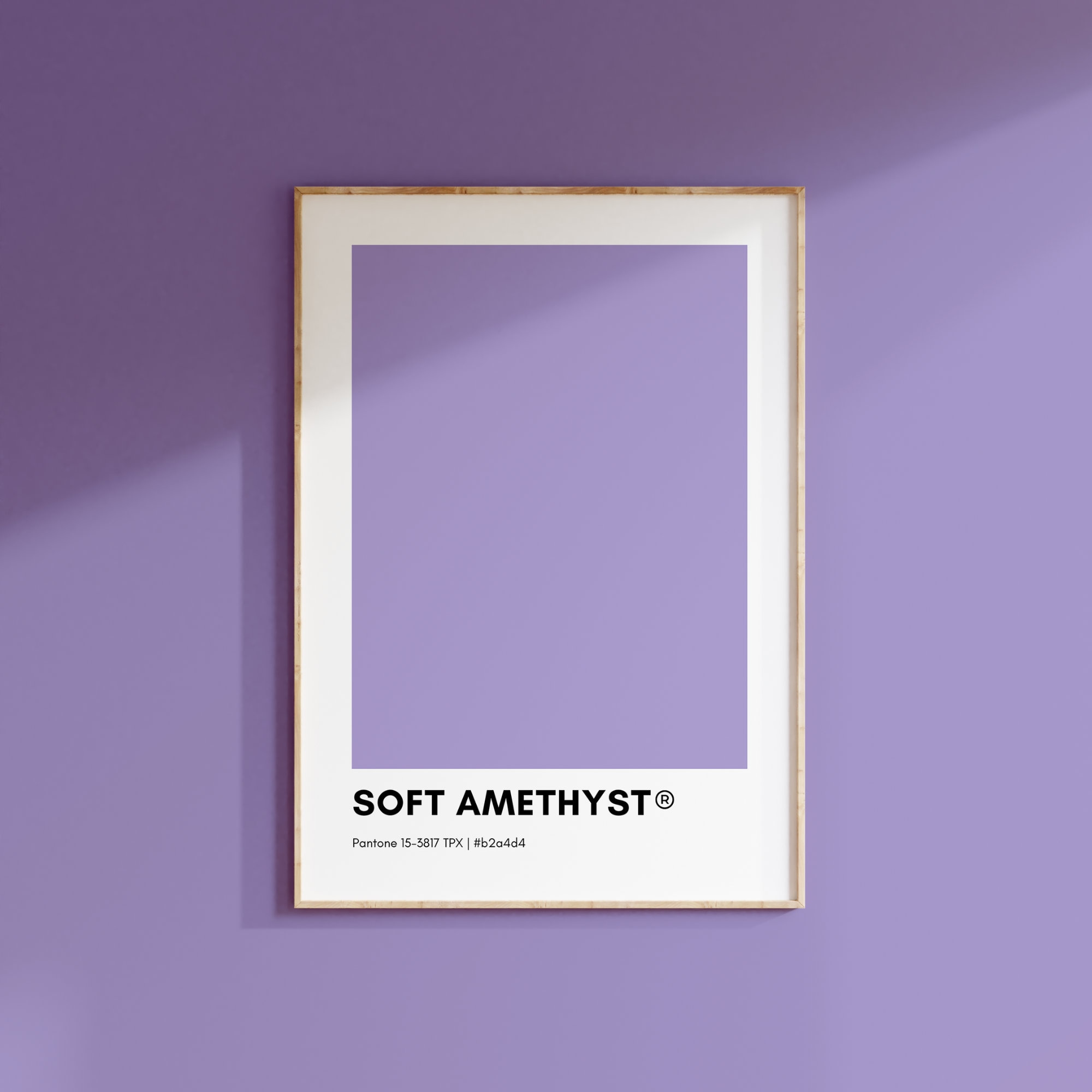Amscan internazionale 18c Decorator (viola