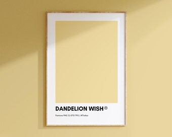 PANTONE COLLECTION