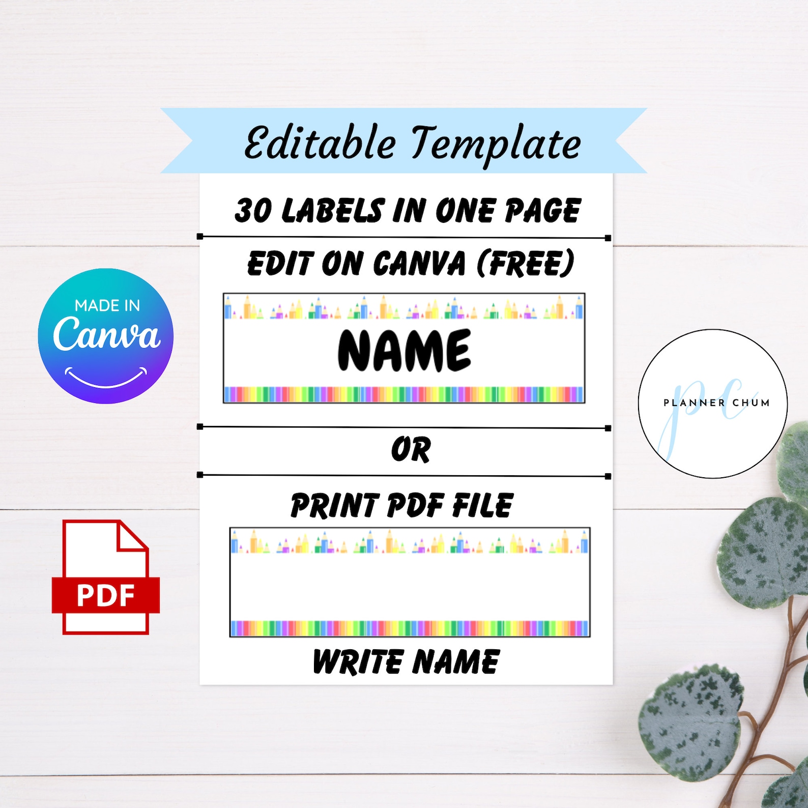 Editable School Labels, Printable Name Labels for School Supplies