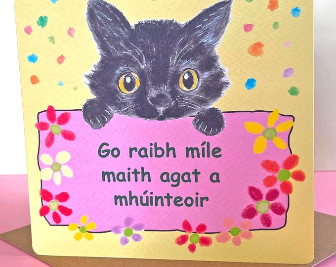 Go raibh míle maith agat a mhúinteoir | SNA thank you | Thank you teacher as gaeilge