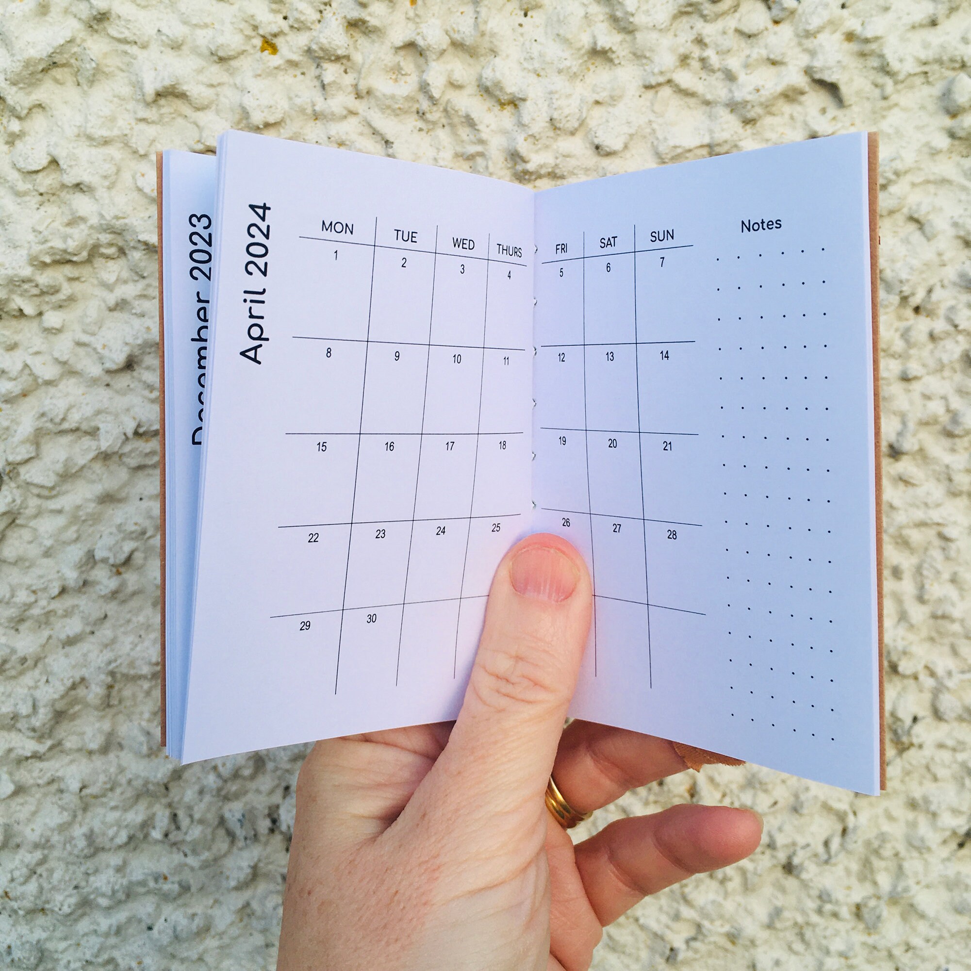 Moleskine 2025 Calendar Google Translate rebe vittoria