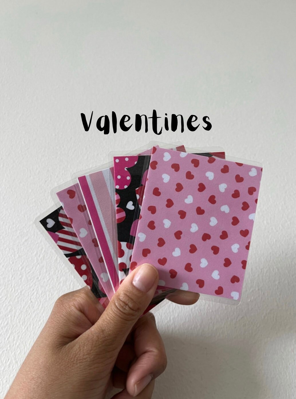 Set of 5 Mini Cash Envelope Laminated Labeled Etsy