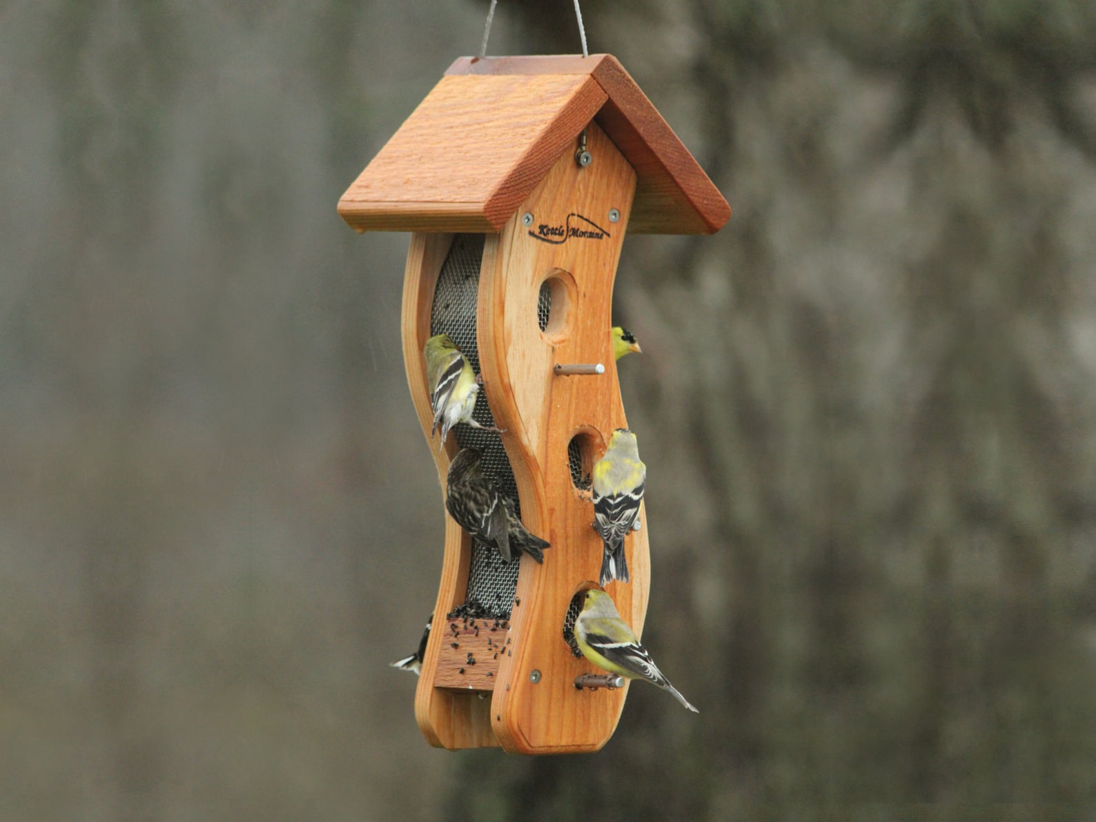 Kettle Moraine Small Wave Finch Feeder