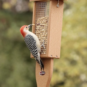 May include: A red-bellied woodpecker perched on a brown bird feeder filled with peanuts. The feeder has a wire mesh front and a rectangular shape. The bird has a red head and neck, black and white striped back, and a long beak.