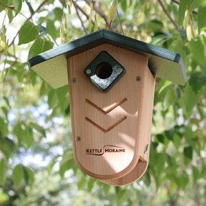 Kettle Moraine Hanging Moraine Bird House for Wrens & Chickadees w/ Predator Guard image 7