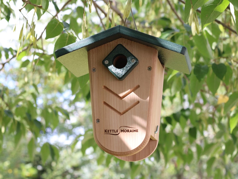 Kettle Moraine Hanging Moraine Bird House for Wrens & Chickadees w/ Predator Guard image 7