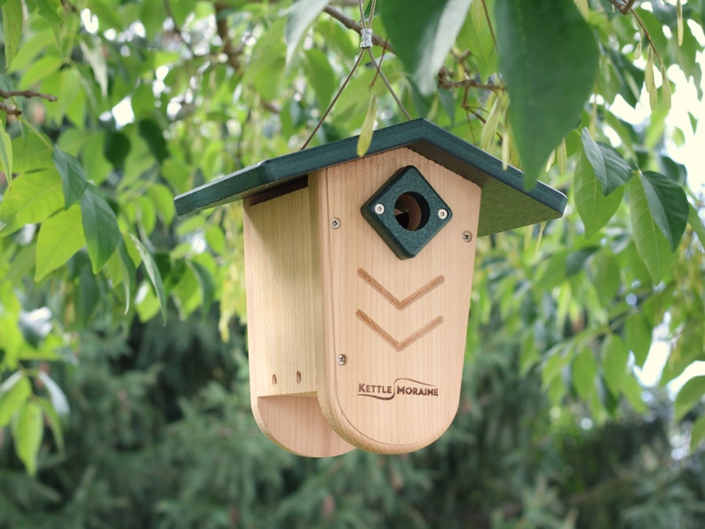 Kettle Moraine Hanging Moraine Bird House for Wrens & Chickadees w/ Predator Guard image 1