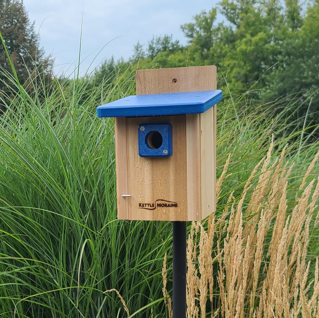 Kettle Moraine Wren & Chickadee Nest Box With Recycled Roof Etsy