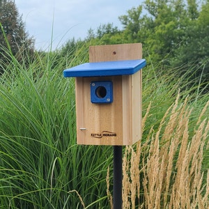 Kettle Moraine Wren & Chickadee Nest Box with Recycled Roof