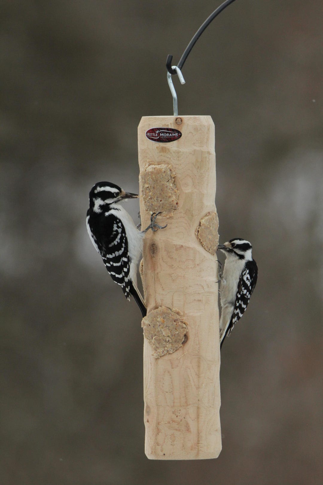 Kettle Moraine Cedar Suet Log Suet Plug Feeder - Etsy