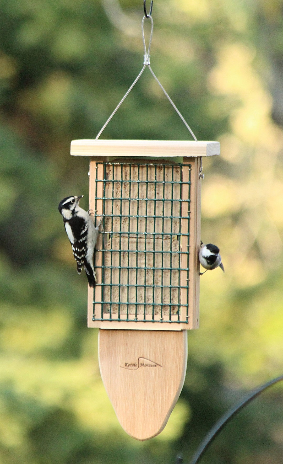 Kettle Moraine Cedar Suet Feeders With Tail Prop double Etsy