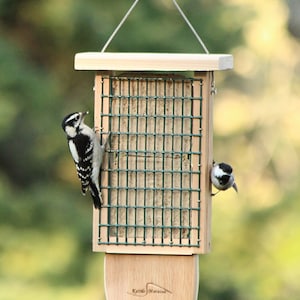 May include: A wooden bird feeder with a green wire mesh cage and a brown wooden roof. The feeder is hanging from a metal hook. Two birds are perched on the feeder, one is a black and white woodpecker and the other is a small black bird. The feeder has the text "Kettle Moraine" on the bottom.