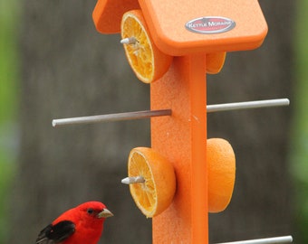 Kettle Moraine Recycled Orange Oriole Fruit Feeder (Double)