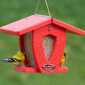 Kettle Moraine Recycled Mini Moraine Hopper Feeder
