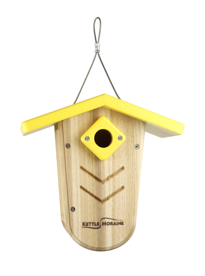 Kettle Moraine Hanging Moraine Bird House for Wrens & Chickadees w/ Predator Guard image 5