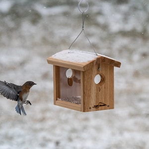 May include: A bluebird flies towards a wooden bird feeder with a clear plastic front. The feeder is hanging from a metal hook and has a snow-covered roof.