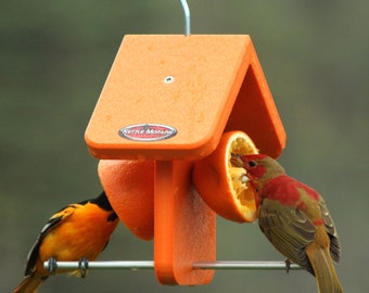 Kettle Moraine Recycled Orange Oriole Fruit Feeder (Single)