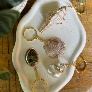 seashell keychain