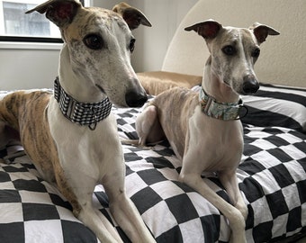 Martingale collar for whippet, grey hound, Italian, Iggy