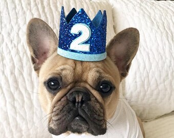 Dog Birthday Crown, Pet Birthday Hat, Dog Birthday Crown, Pet Birthday, Dog Birthday Party
