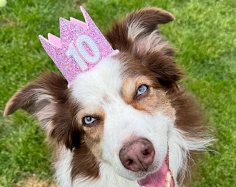 Dog Birthday Crown, Pet Birthday Hat, Dog Birthday Crown, Pet Birthday, Dog Birthday Party