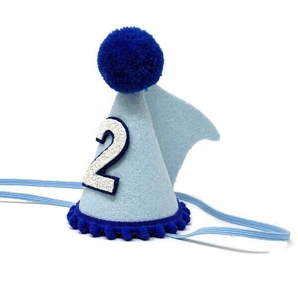 Hajfödelsedagsfest, hajfödelsedagshatt, partyhatt för alla åldrar, tårtsmash för första födelsedagen, lilla blå oliv, under havet, hajfest